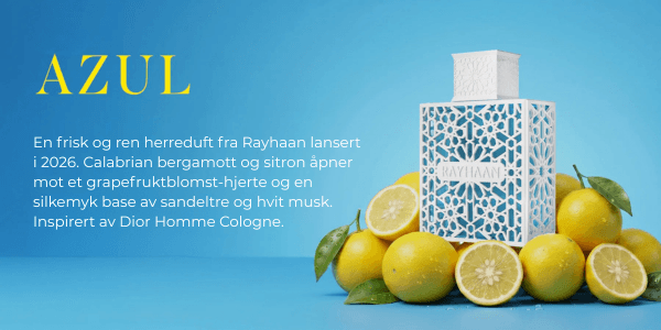 Et bilde som er lagt til i innlegget.